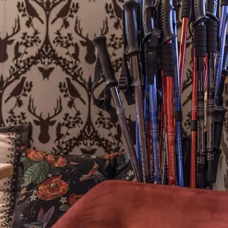 Stella Doro ザコパネ