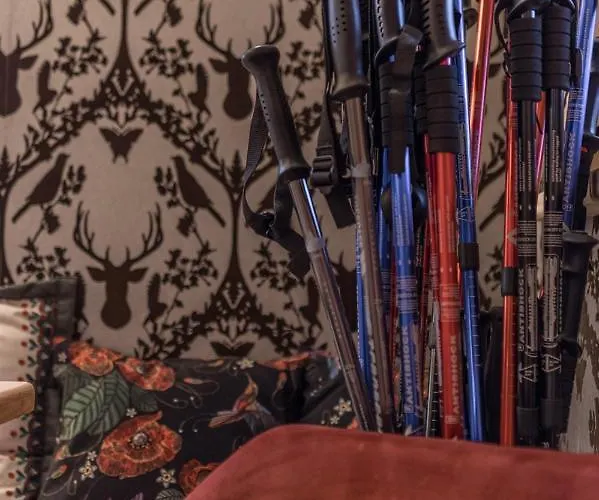 Stella Doro Zakopane